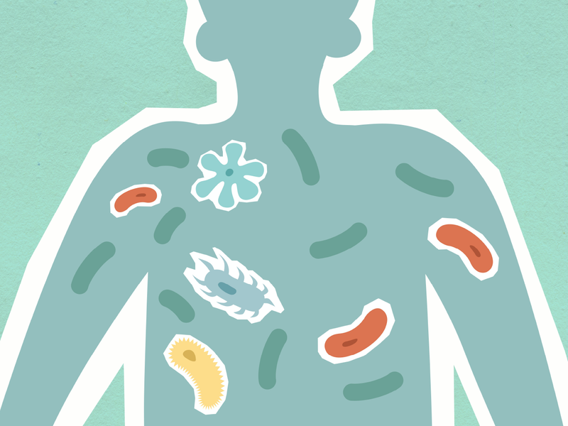 From Probiotics to Postbiotics: Separating the Best from the Rest